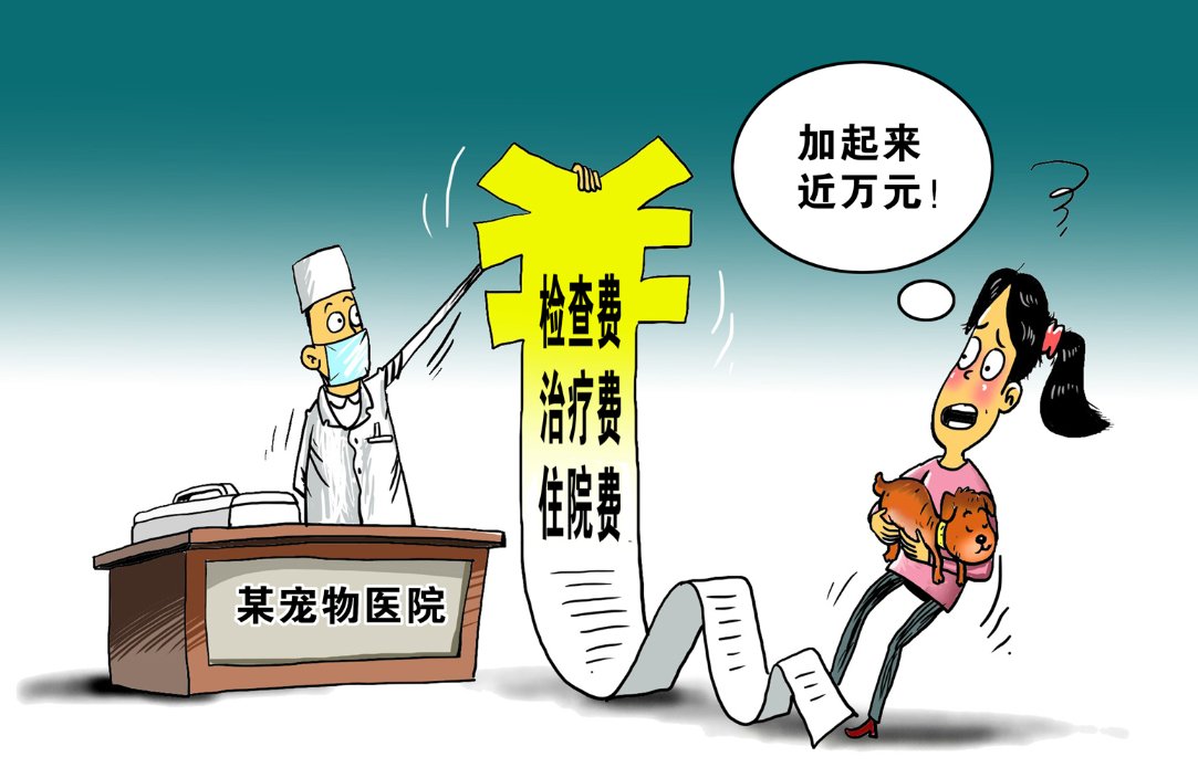 新华社发 朱慧卿作