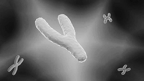 图片来源：Artur Plawgo/Science Photo Library