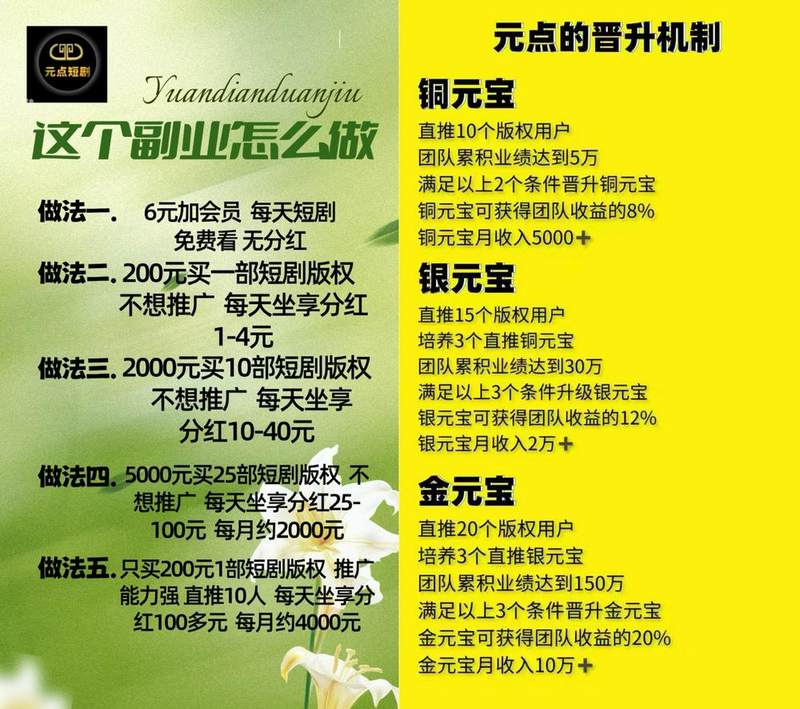 元点短剧相关宣传推广资料