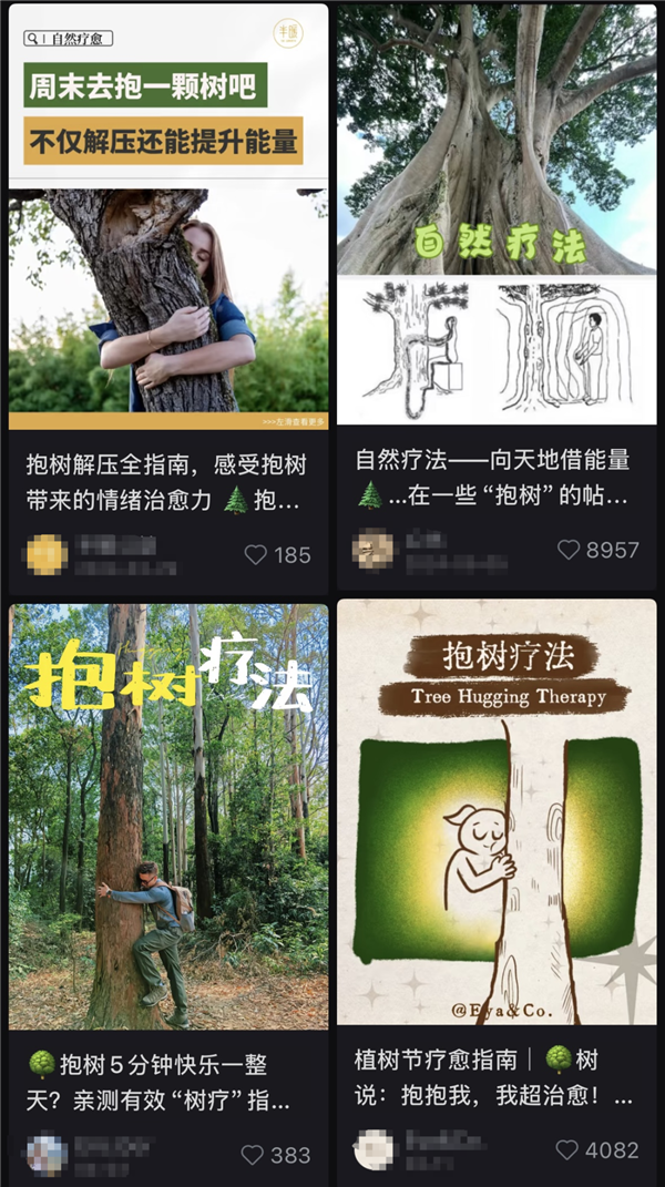图源:某社交平台