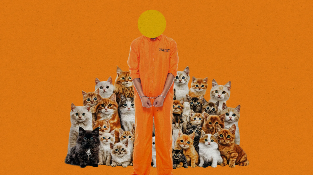 (来源:MIT Technology Review)