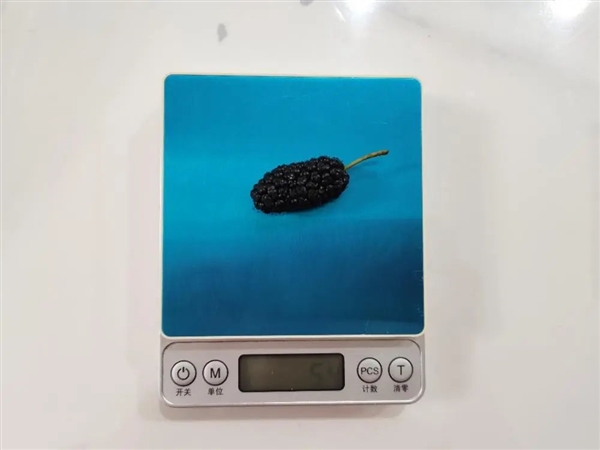 图片来源:作者拍摄