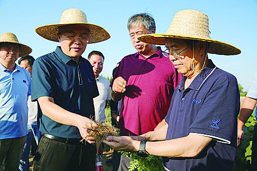 张行勇/摄