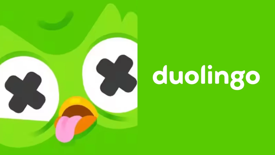 ● 图源@Duolingo