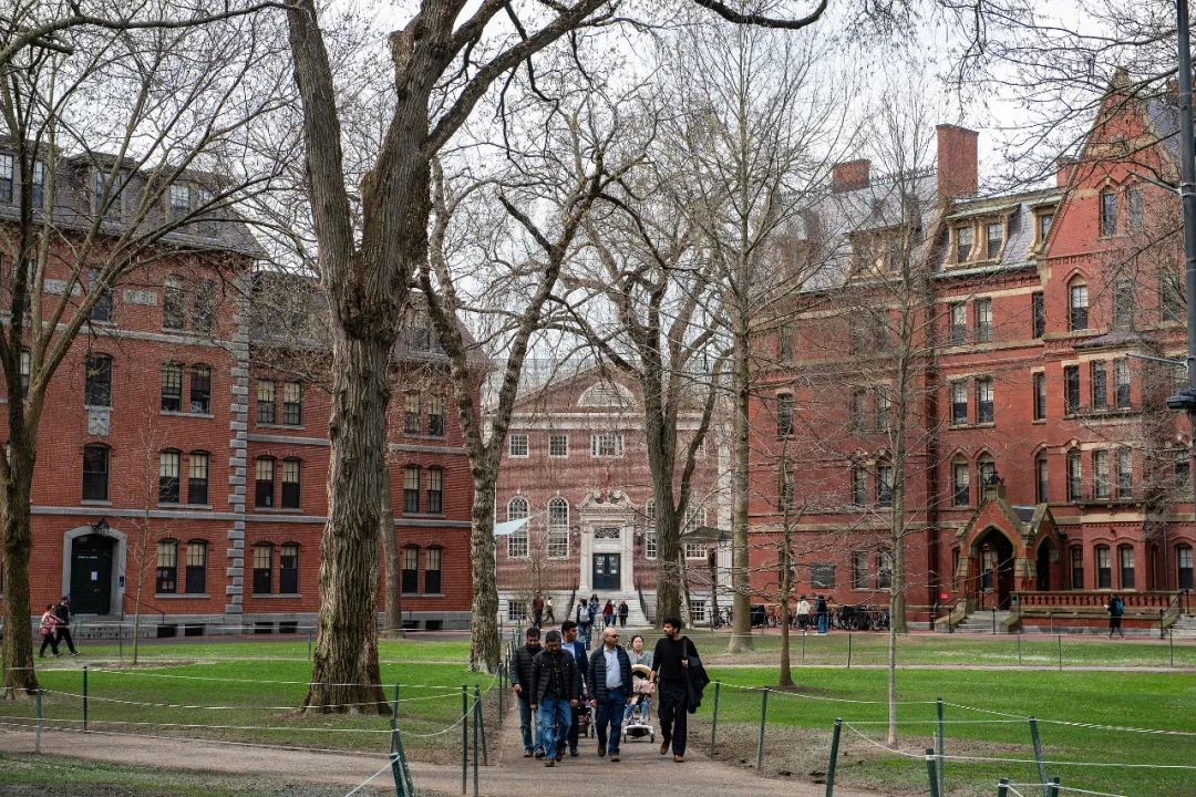 哈佛大学校园。