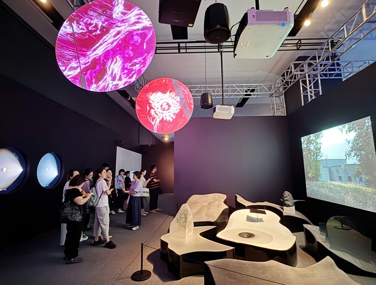 图为展览现场