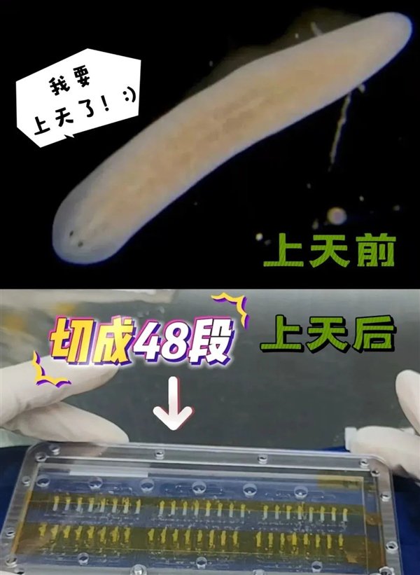 图源:央视新闻