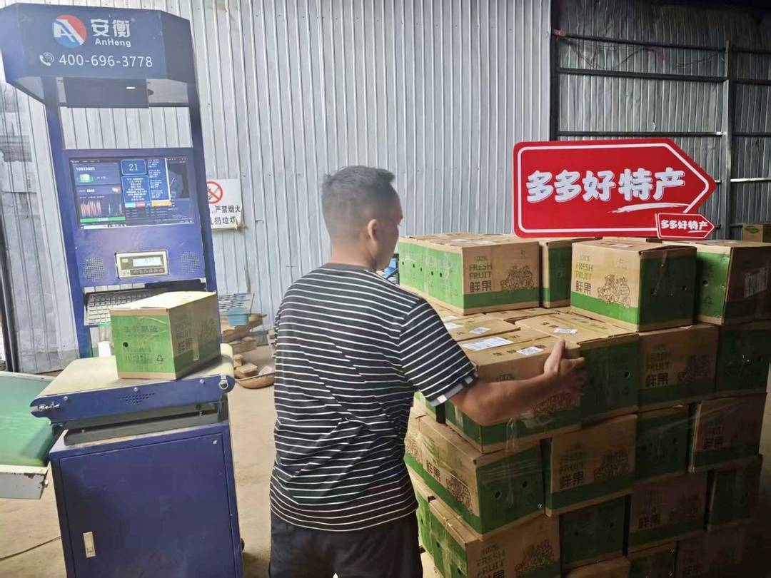 ▲李庚旭仓库中的水果正经打包、发货,而这些流程都将形成可视化数据。商家供图