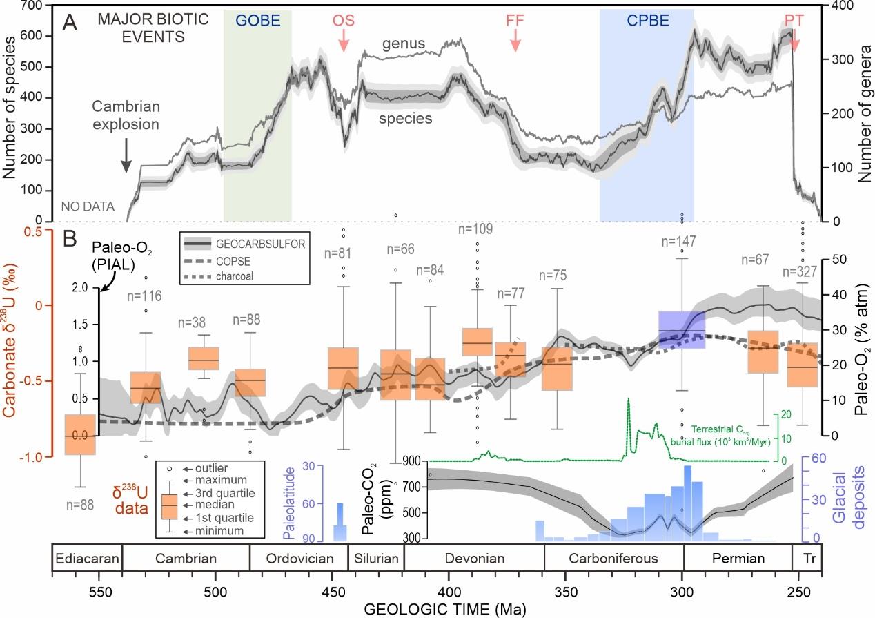 △古生代海洋生物多样性、大气成分与海洋氧化状态。