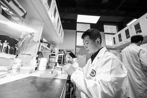中国科学院深圳先进技术研究院供图