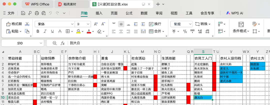 孟凡开统计视频类型的表格（部分）