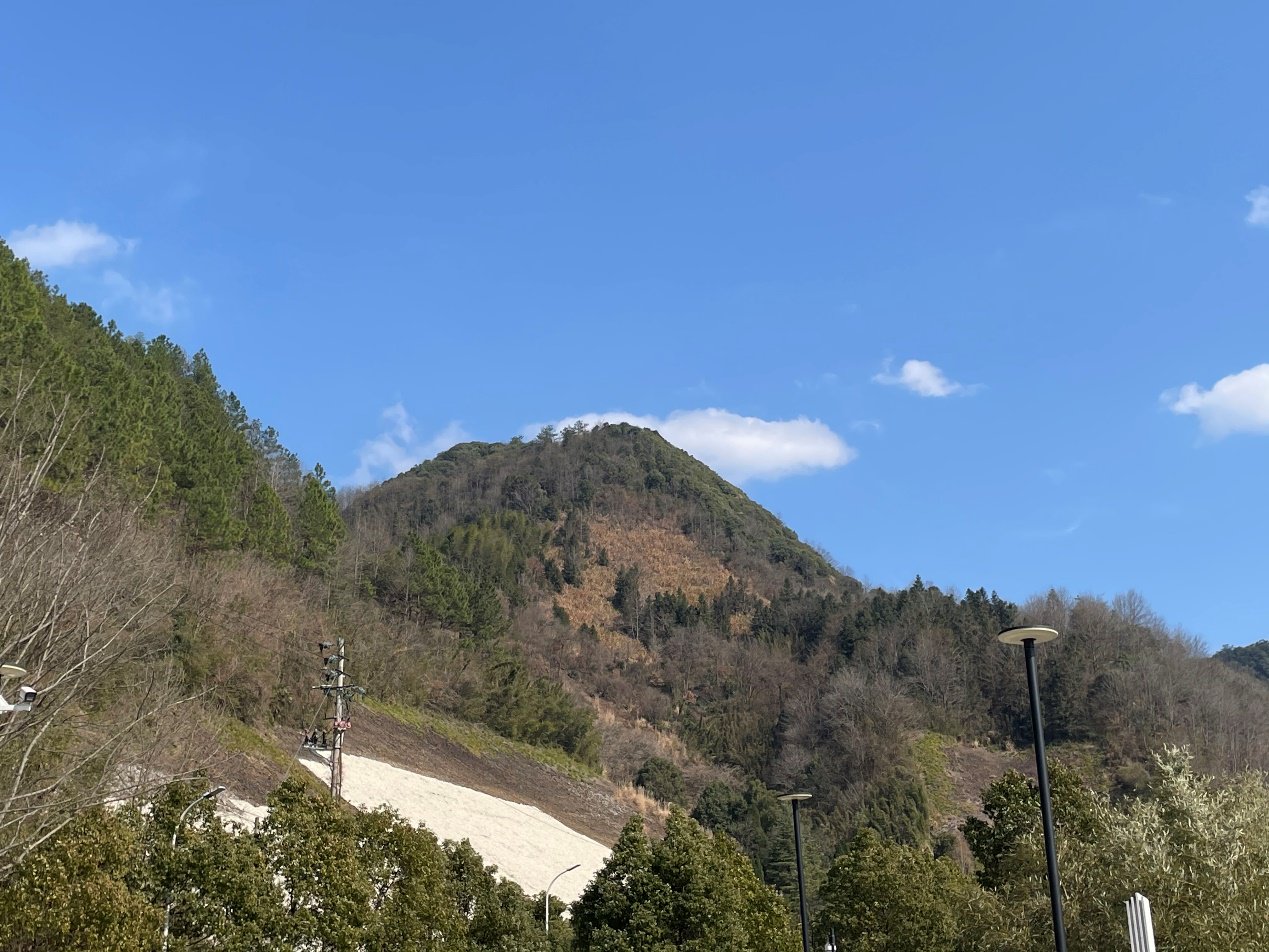 ▲在红星宣纸工厂附近的山上,正在经历“自然褪色”的皮料草料清晰可见。树森▕摄
